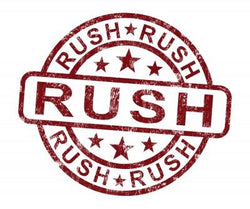 Rush Processing - 24 Pin (+$30)